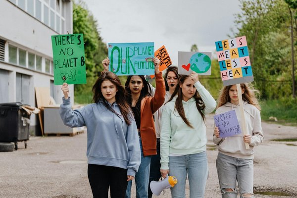 Quels sont les avantages de l'utilisation de l'agroforesterie dans votre jardin ?